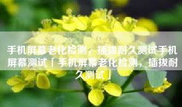 手机屏幕老化检测，插拔耐久测试手机屏幕测试「手机屏幕老化检测，插拔耐久测试」