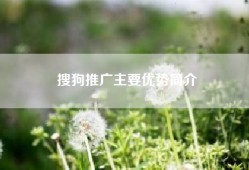 搜狗推广主要优势简介