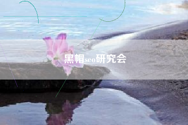 黑帽seo研究会