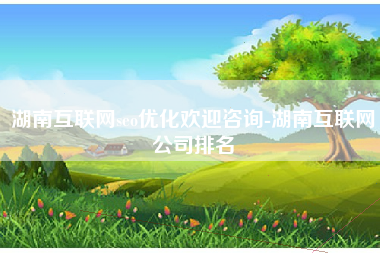湖南互联网seo优化欢迎咨询-湖南互联网公司排名