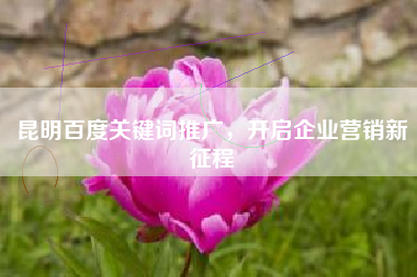 昆明百度关键词推广，开启企业营销新征程