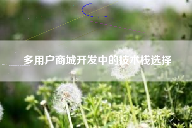 多用户商城开发中的技术栈选择