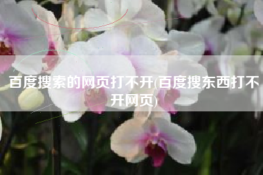 百度搜索的网页打不开(百度搜东西打不开网页)