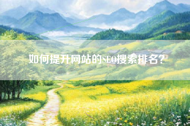 如何提升网站的SEO搜索排名？