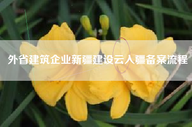 外省建筑企业新疆建设云入疆备案流程