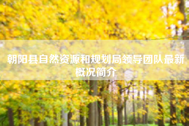 朝阳县自然资源和规划局领导团队最新概况简介
