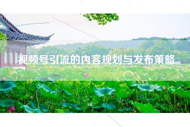 视频号引流的内容规划与发布策略