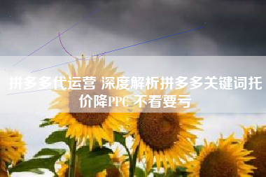 拼多多代运营 深度解析拼多多关键词托价降PPC 不看要亏