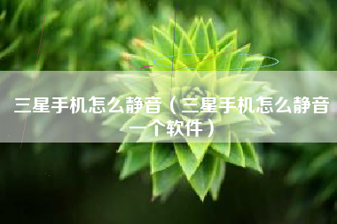 三星手机怎么静音（三星手机怎么静音一个软件）