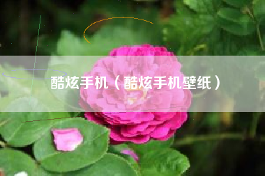 酷炫手机（酷炫手机壁纸）