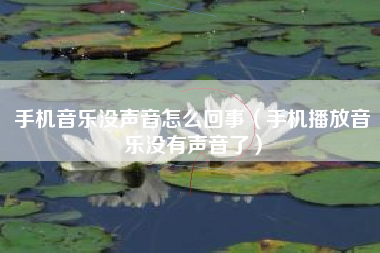 手机音乐没声音怎么回事（手机播放音乐没有声音了）
