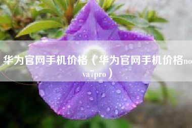 华为官网手机价格（华为官网手机价格nova7pro）