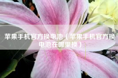 苹果手机官方换电池（苹果手机官方换电池在哪里换）
