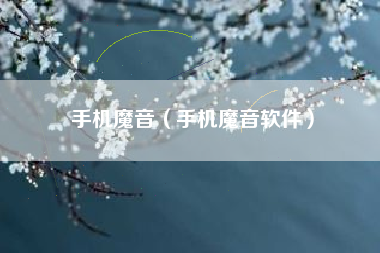 手机魔音（手机魔音软件）