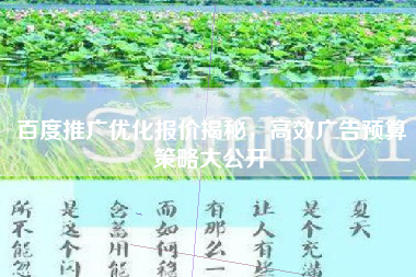 百度推广优化报价揭秘，高效广告预算策略大公开