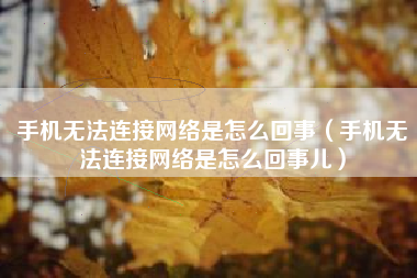 手机无法连接网络是怎么回事（手机无法连接网络是怎么回事儿）