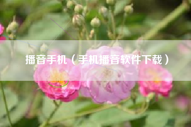 播音手机（手机播音软件下载）