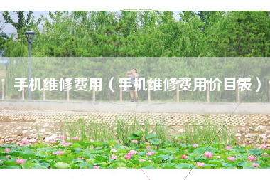 手机维修费用（手机维修费用价目表）