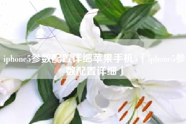 iphone5参数配置详细苹果手机5「iphone5参数配置详细」