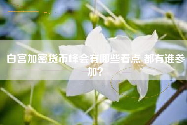 白宫加密货币峰会有哪些看点 都有谁参加？