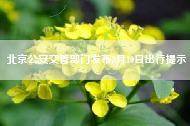 北京公安交管部门发布3月10日出行提示