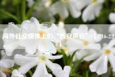 海外社交媒体上的“西安声音”（2.16-2.28）